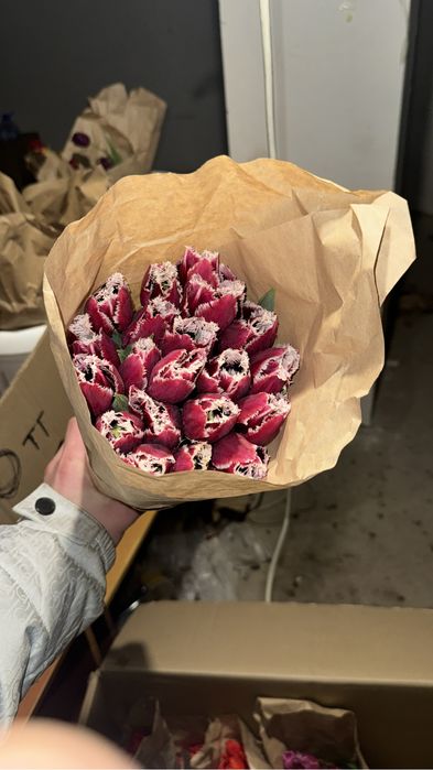 Распродажа тюльпанов 500 тенге