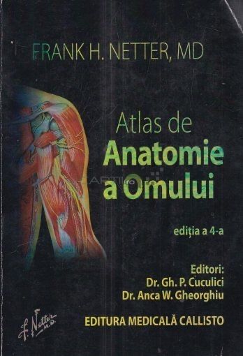 Atlas de anatomie Netter editia a 4 a pdf