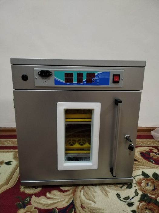 100 talik inkubator