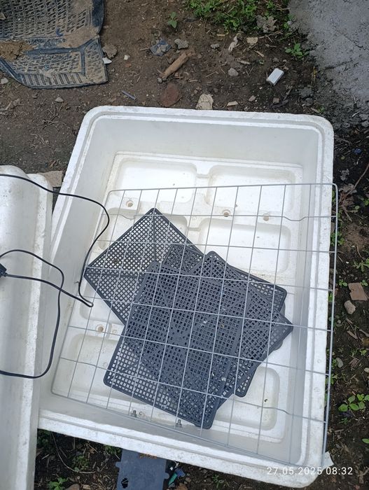 Инкубатор для цыплята