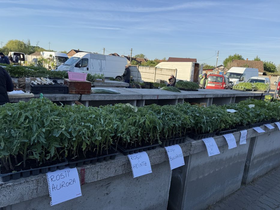 Vand rasad de legume