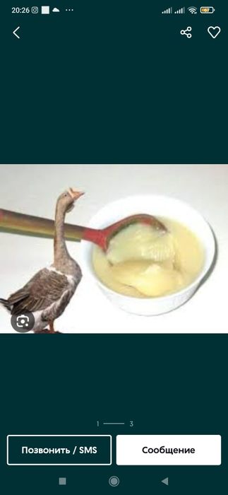 Г'оз,Бу'рсик,Айик,-ёг'лари