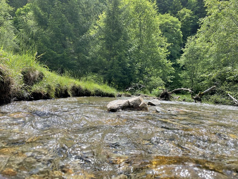 Vand teren 7500 mp Plaiul Foii Barsa lui Bucur