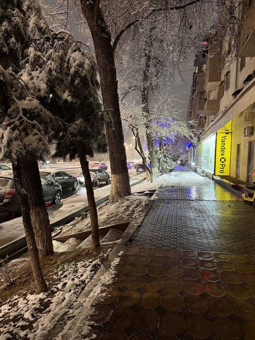 Срочно! Нежилое помещение 80 м² на первой линии Шота Руставели