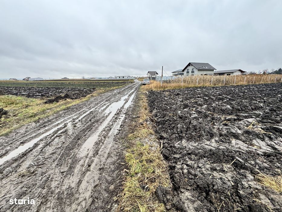 Teren 24 Ari | Horodnic de Sus | Front 15 m