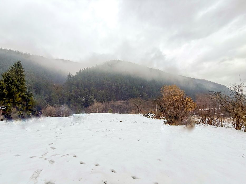 Teren intravilan 2300 mp Paltinis-Valea Stezii Sibiu