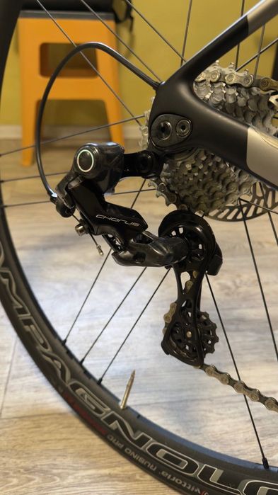 Wilier GTR team disk M Campagnolo 12