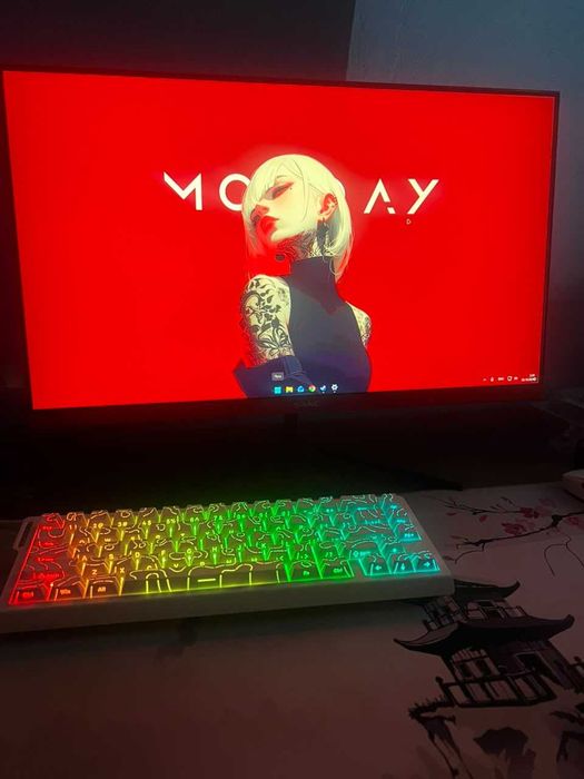 Монитор SANC M2444PC