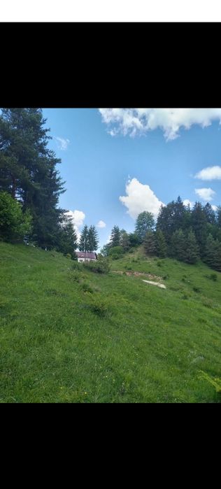 Anexa si cu teren extravilan la munte