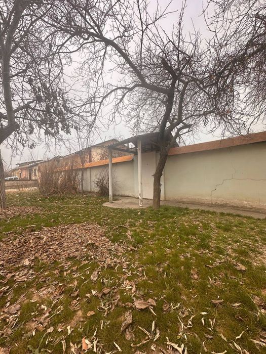 Буюк Ипак йули земля на первой линии (собственник)