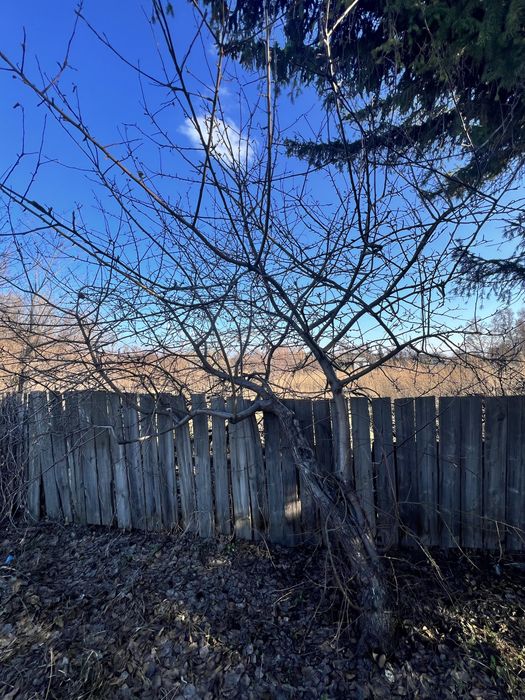 Продам дачу в сообщество горняк