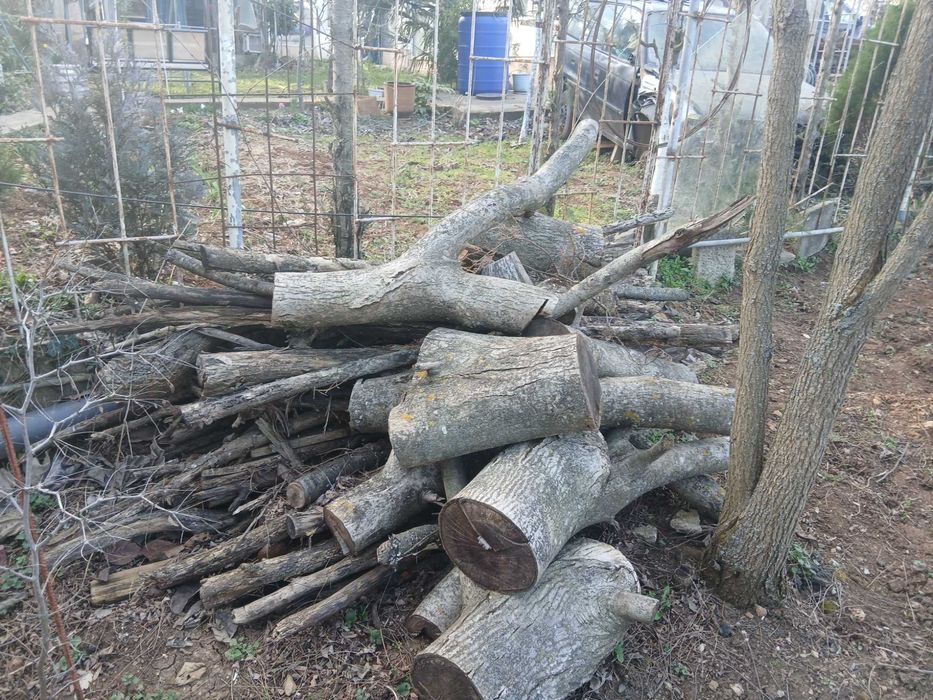 Дърва за огрев сухи