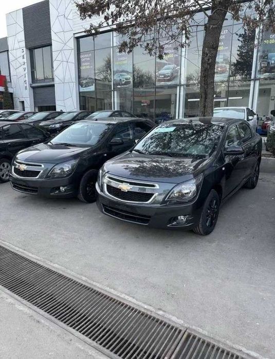Cobalt Naqd va halol nasiya