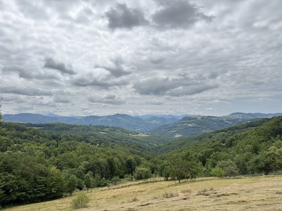 vand teren la munte Bulz Munteni 10.5 hectare