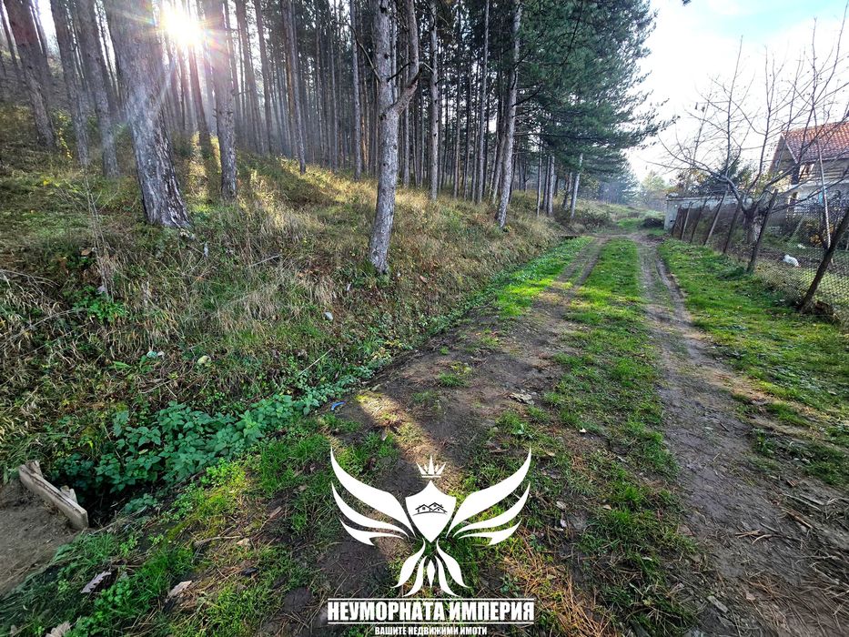 Продава се Парцел в с. Тополово, Област Пловдив - 1280 кв.м за 22 €/кв.м - Снимка #5