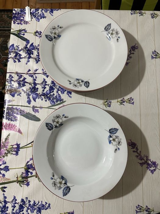 Порцеланови чинии