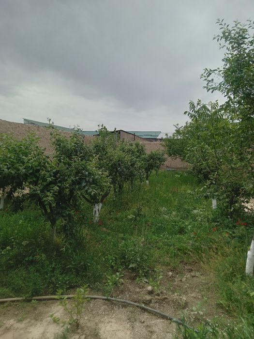Уй сотилади янги арик