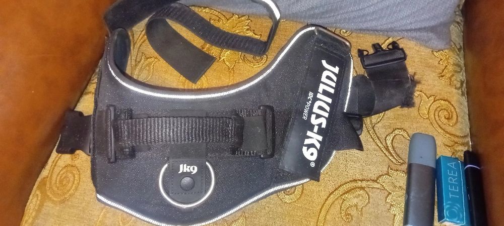 Ham pt câini de talie mare