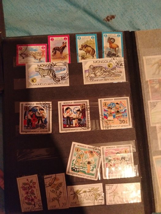 Vând Clasor cu timbre vechi românești dar și din toată lumea in stare