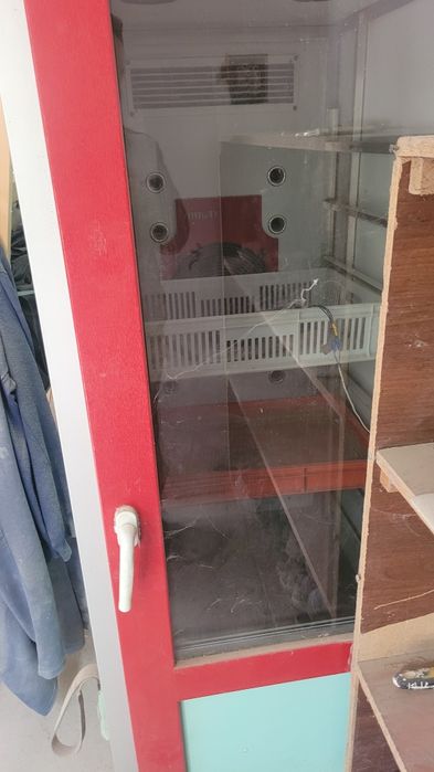 Инкубаторлар иккита