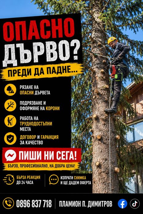 Рязане на дървета височинно