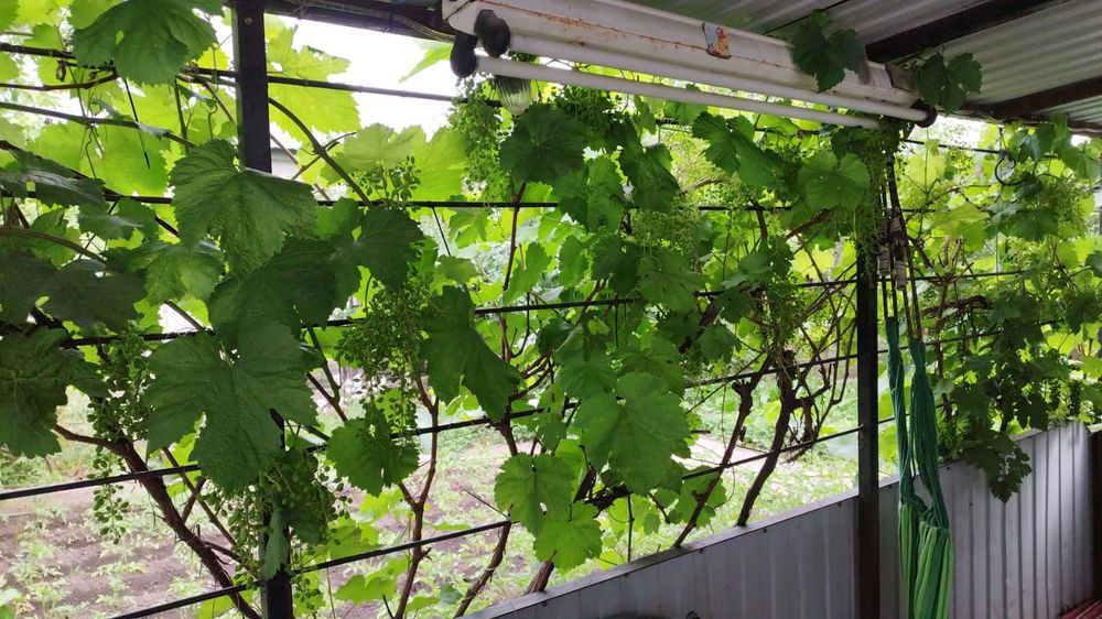 Продам дом район 11 мкр