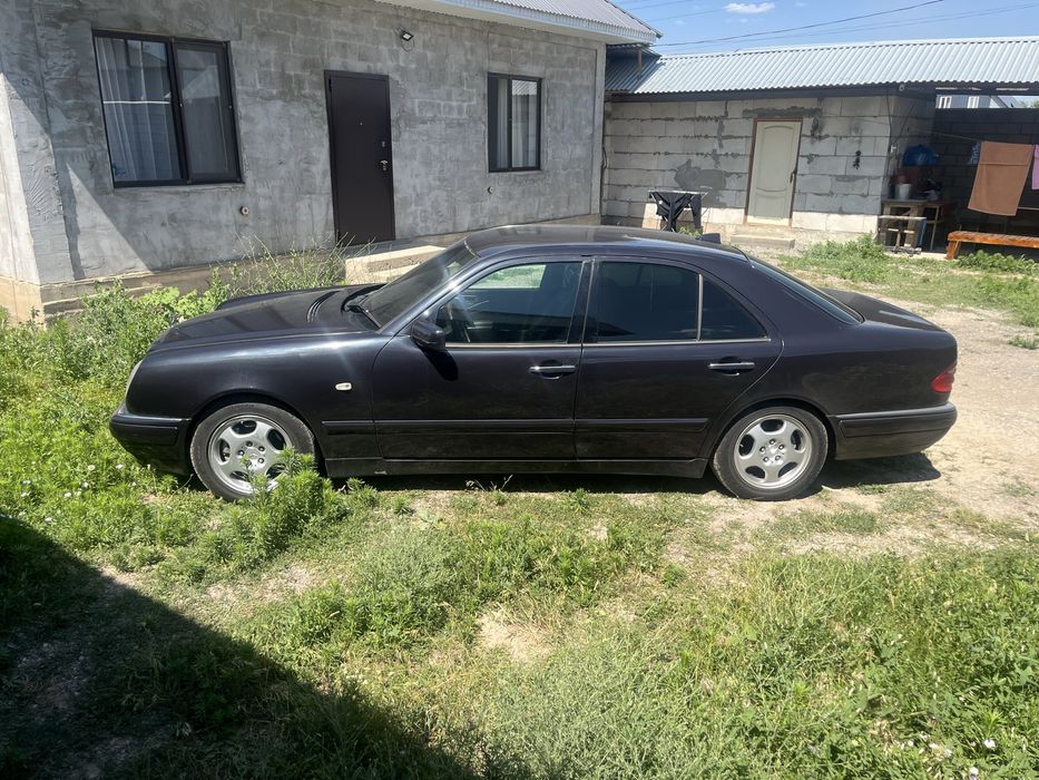 Лупарик в рассрочку