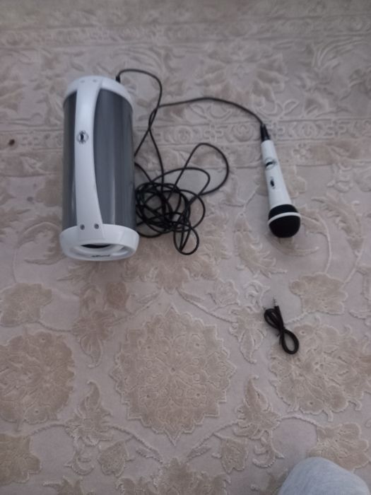 Boxa cu microfon 170 lei