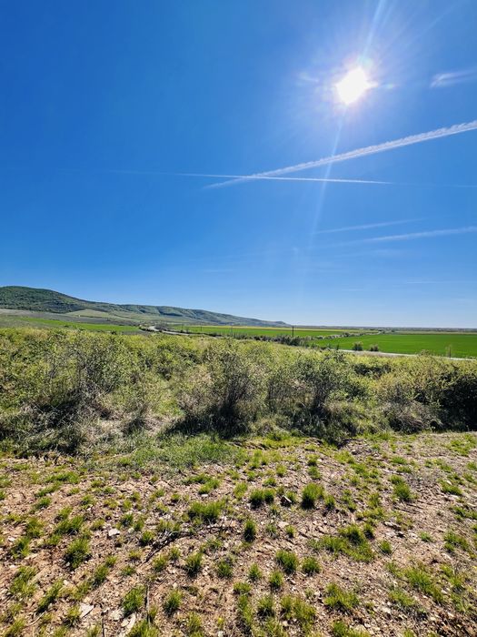 Șiria - teren extravilan de vanzare