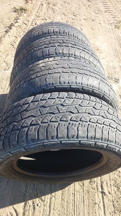 Покрышки трианджел летний