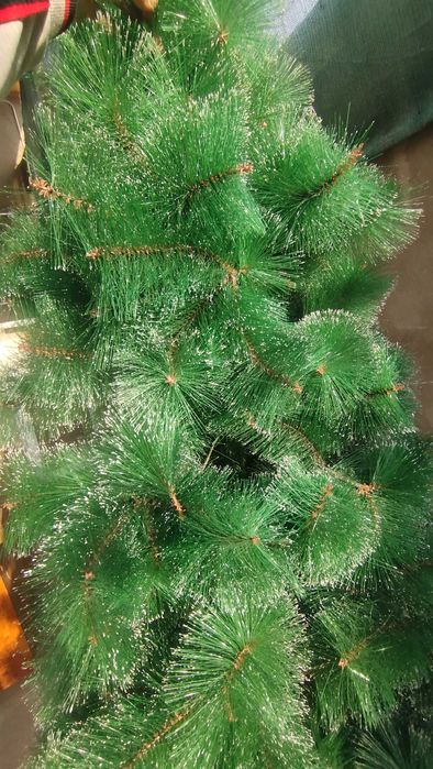 Ёлки сотилади 200 000 Минг сом