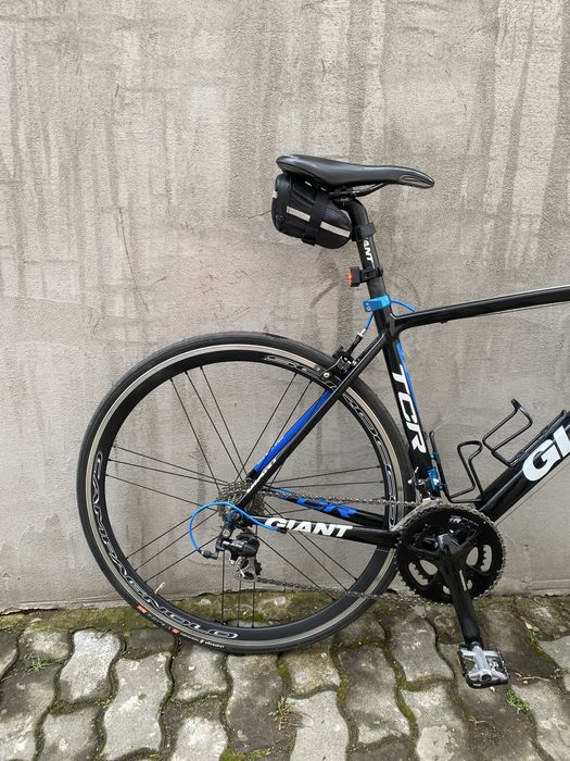 Cursiera Giant TCR