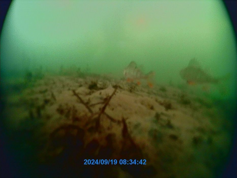 Подводная камера для рыбалки  Nisus Custo Plus.