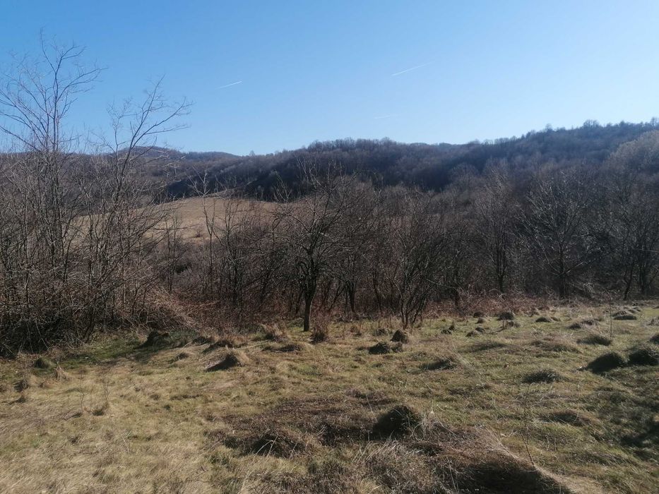 Имот с къща в Еленския балкан