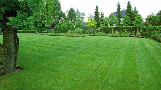 Gazon rulou, insamantare, vand si montez.