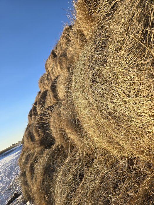 Рулоны пр 110 200 кг