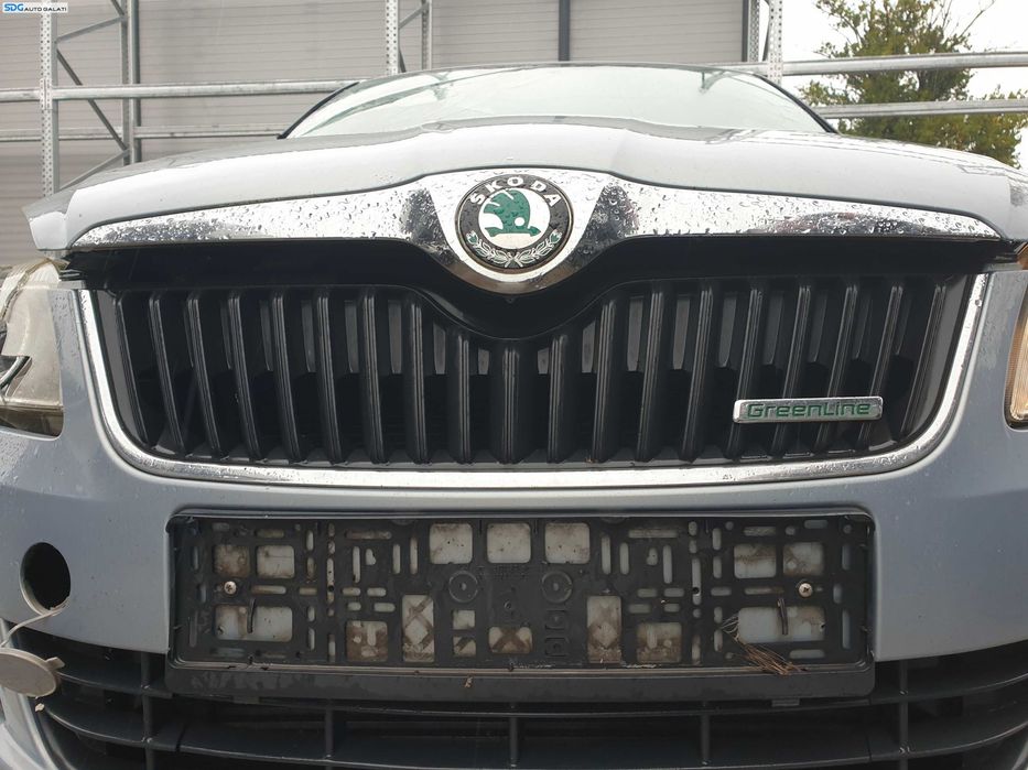 Grila Radiator de pe Bara Spoiler Fata Skoda Fabia 2 FL Facelift 2010 - 2014 [K8010]