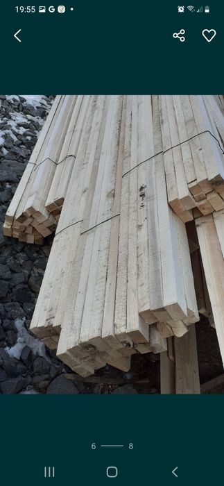 VÂND CHERESTEA Răsinoase. Preț de producător.