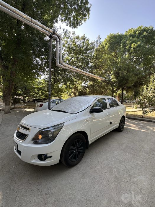 Cobalt Tozza Midnight 2025