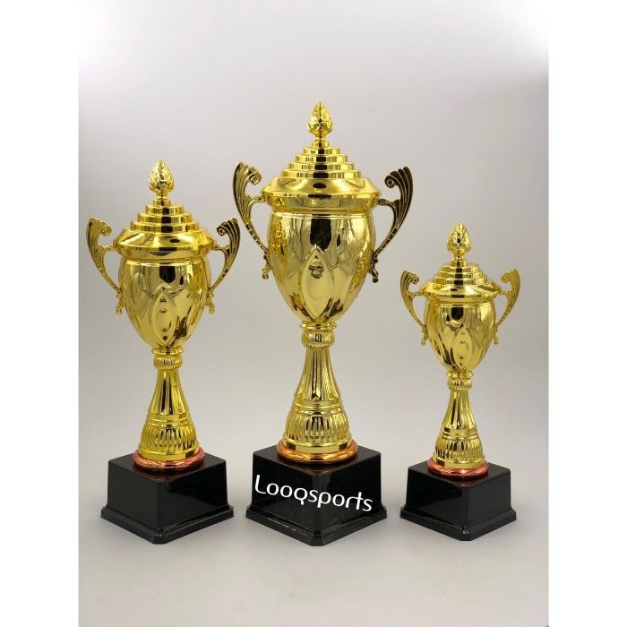 Наградные кубок (кубки) набор (306)