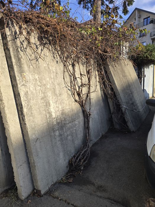 Placi de beton cu armatura