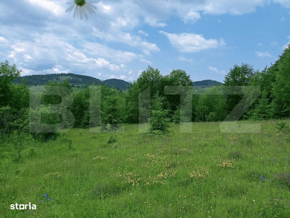 Teren intravilan de vanzare, 30.121 mp, Trancesti, Scarisoara