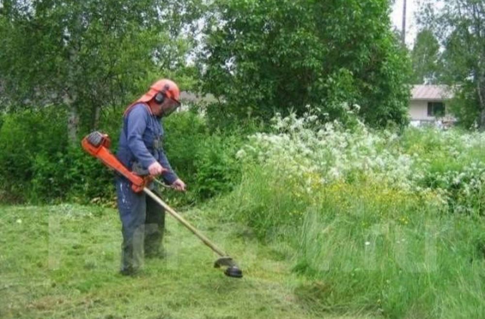 Услуги садовника