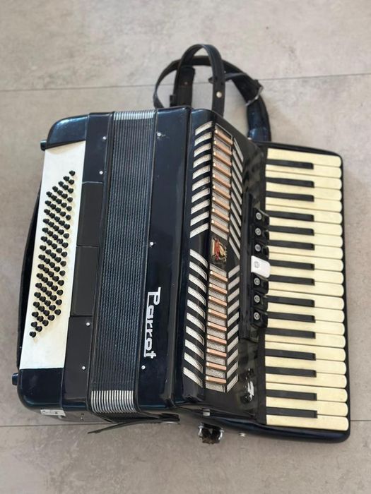 Acordeon Parrot - -A-