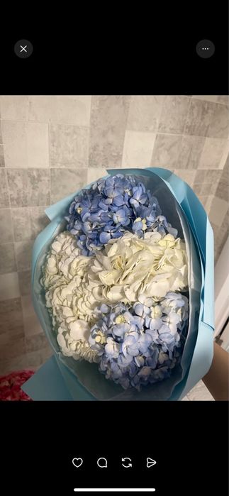 Продам 101 розу и гартензию