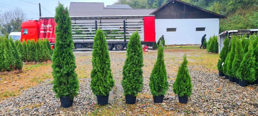 Piatra naturala de munte