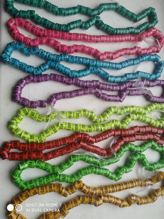 Кольца для голубей разные