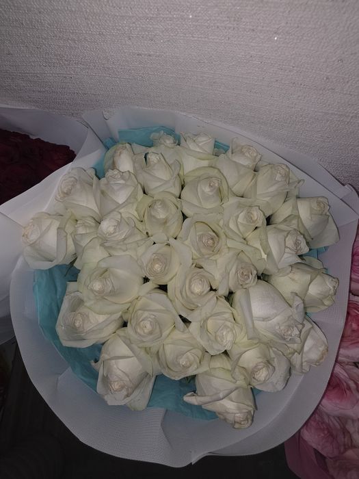 Продам цветы живые