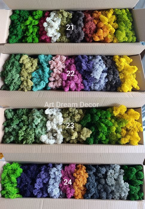 Скандинавски мъх за зелени стени, пана, декорации.