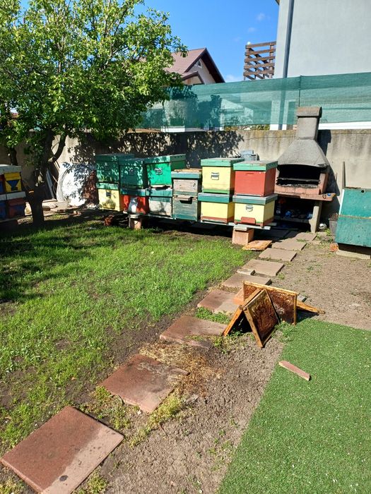 De vânzare, lichidare stupina